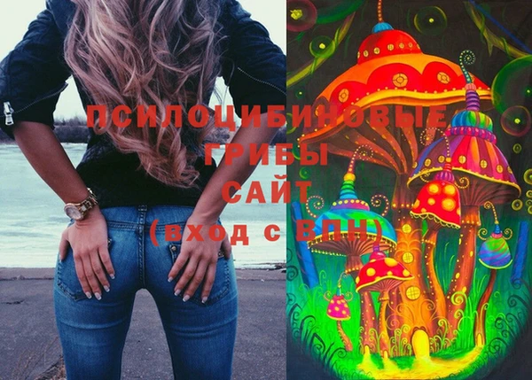 синтетический гашиш Алексеевка