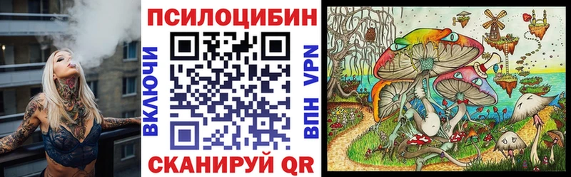 Псилоцибиновые грибы Psilocybe  Алушта 