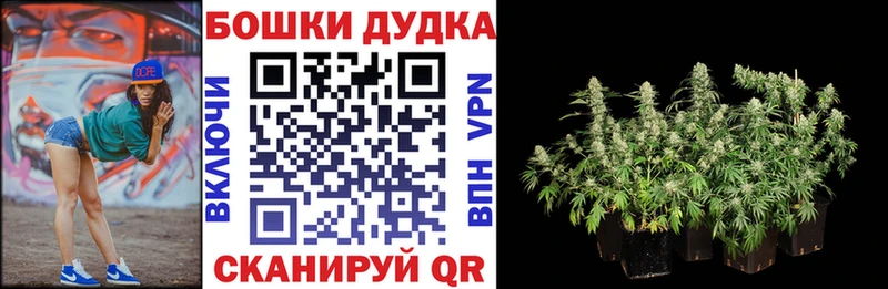 Конопля ГИДРОПОН  сайты даркнета телеграм  Алушта 